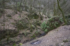 26 Corso d'acqua sottostante la cella