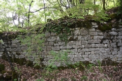 50 Interno della chiesa, parete sud