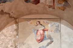 171 Immacolata Cnmcezione