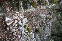 18 Fondazioni di un ambiente a pianta semicircolare adiacente il muro di destra della chiesa