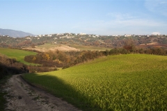 1. Paliano, la collina di S. Maria di Pugliano dalla sottostante valle di Zancati