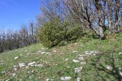 66 Castelliere di Monte Pagliaro