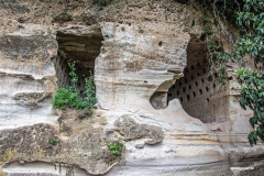 Colombari rupestri in località Palombare (15)