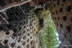 Colombari rupestri in località Palombare (24)