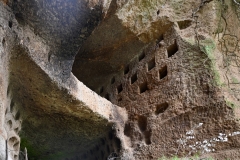 Colombari rupestri in località Palombare (37)