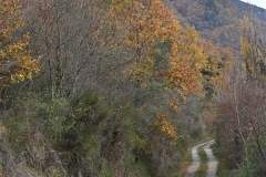 1 Strada verso l'eremo