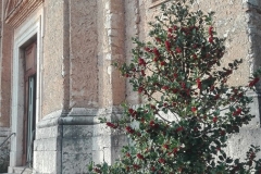 10. Esterno della chiesa di San Lorenzo