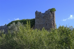 14 Resti del Castello dei Di Vico