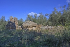 20 Ruderi della chiesa di San Giovenale