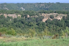 01 Insediamento di Montecasoli