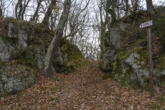 100 Verso la grotta delle Monache