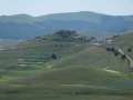 castelluccio_fiorita_02.jpg