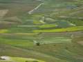 castelluccio_fiorita_03.jpg