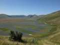 castelluccio_fiorita_07.jpg