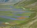 castelluccio_fiorita_08.jpg