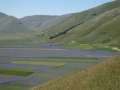 castelluccio_fiorita_19.jpg