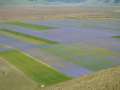 castelluccio_fiorita_20.jpg