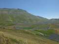 castelluccio_fiorita_21.jpg