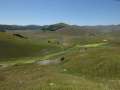 castelluccio_fiorita_28.jpg