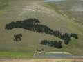 castelluccio_fiorita_30.jpg