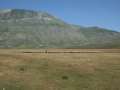 castelluccio_fiorita_32.jpg