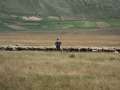 castelluccio_fiorita_33.jpg