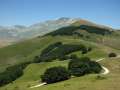 castelluccio_fiorita_40.jpg