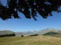 castelluccio_fiorita_42.jpg