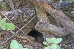 120 Fossetta per la raccolta dell'acqua piovana