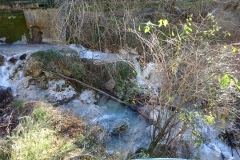 3. Il fiume Cosa presso San Luca