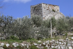 14 Resti della rocca