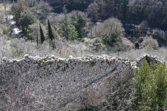 15 Torre della rocca e mura