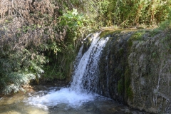 53 Acqua della Serpa