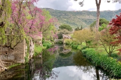 8. Il giardino di Ninfa