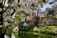 9. Rovine tra i fiori