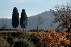 Paesaggio dalla Pievuccia