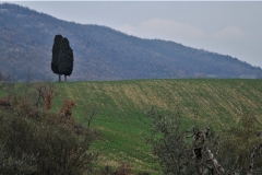 Paesaggio dalla Pievuccia