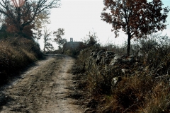 Nebbia sulla Pievuccia 8