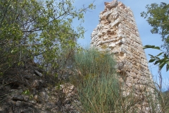 29 Resti della torre