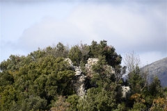 10 Prima Rocca di Pianciano