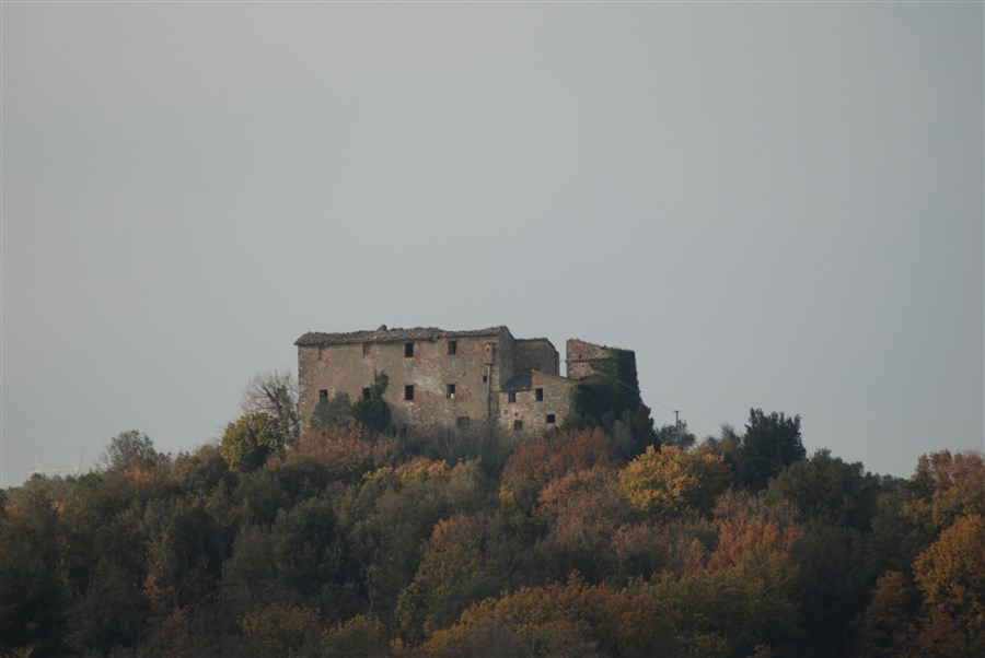 Tam Tam Todi Ultime Notizie.Iluoghidelsilenzio