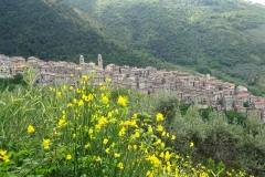 1. Piglio dalla strada per gli Altipiani