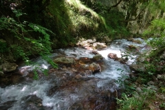 5. Il torrente Fiume nel vallone sotto il santuario