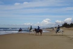 4. Sulla costa di Sabaudia