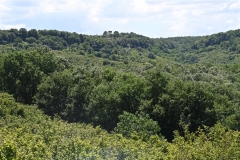 30 Vista Panoramica dalla sommità del sasso