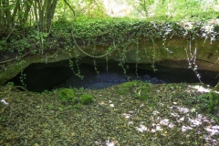 40 Grotta