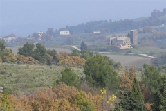 31 La torre di Mazzolini vista da Torre Grossa