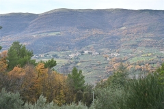 37 Panorama