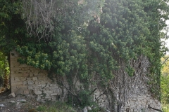 15 Ruderi della Chiesa di Santa Maria