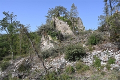 43 Rudere del Palazzetto fortificato